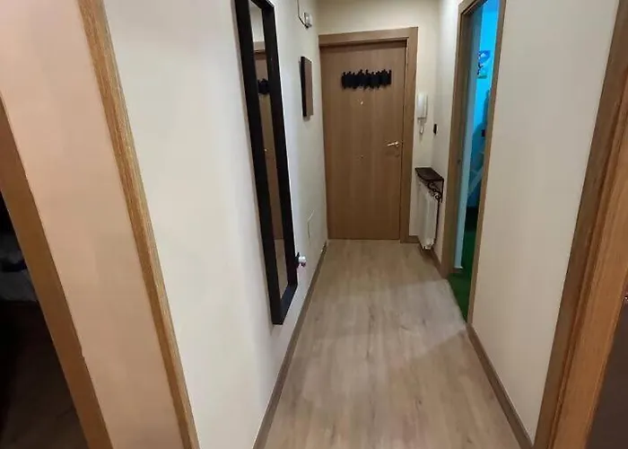 El Tobogán Del Ratoncito